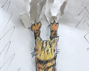 3D kitty